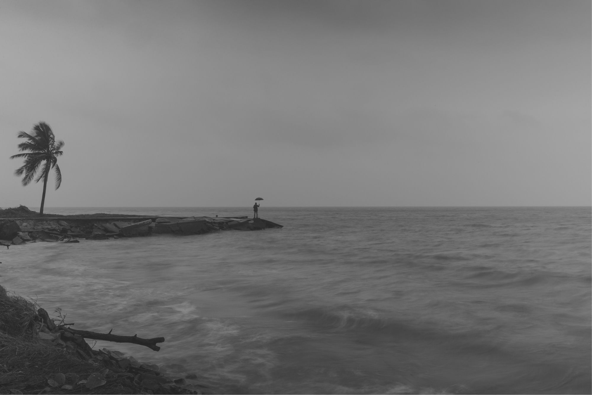 游浪木筏，无边大海求生之旅