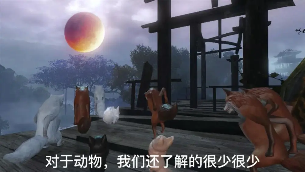 冷狐版注册码_狐冷版游戏_冷狐版