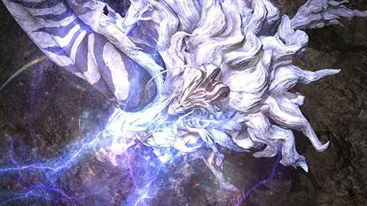白虎之魂_白虎之魂_白虎之魂