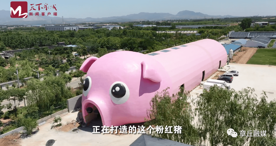 小游戏猪世界_世界猪王是谁_我的世界猪人