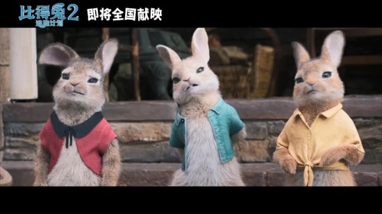 登科影视狗撵兔2017_大灰兔影视迅雷下载_莫扎兔影视