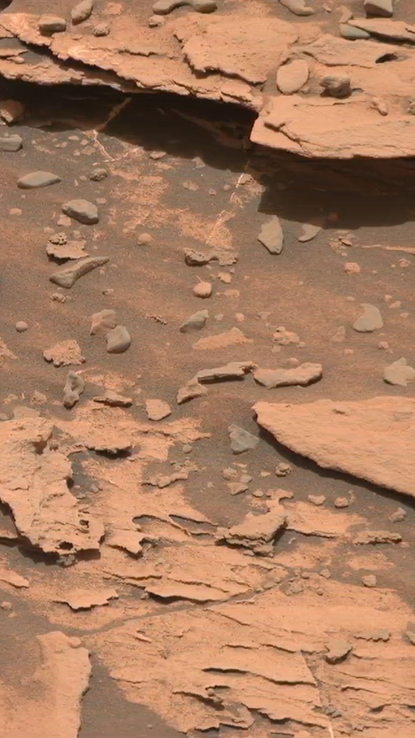 火星视频_视频火星小蝌蚪_火星视频素材