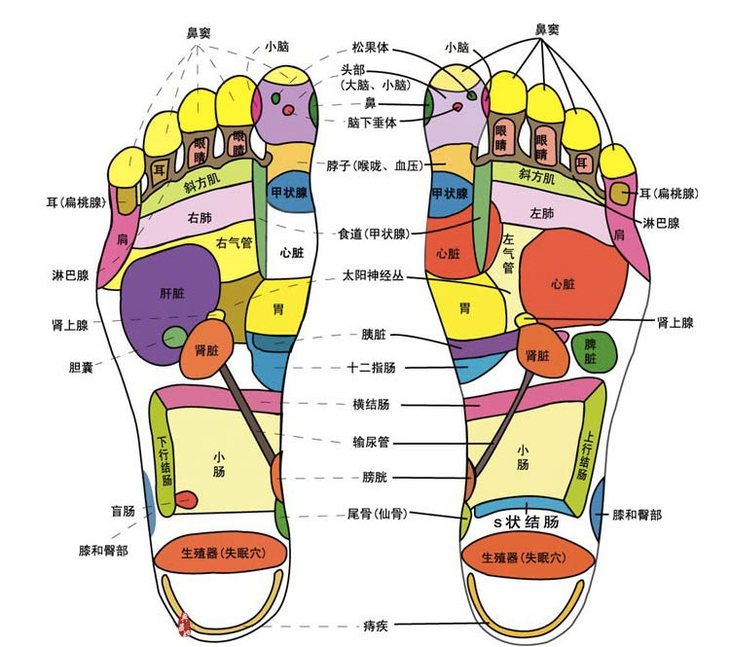 足语是什么意思_足语_足语英语解释