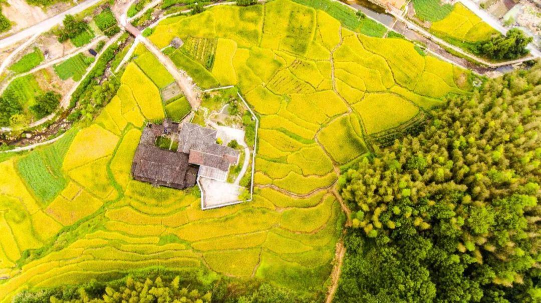 乡村大胸器：探寻宝贵乡村资源的秘密