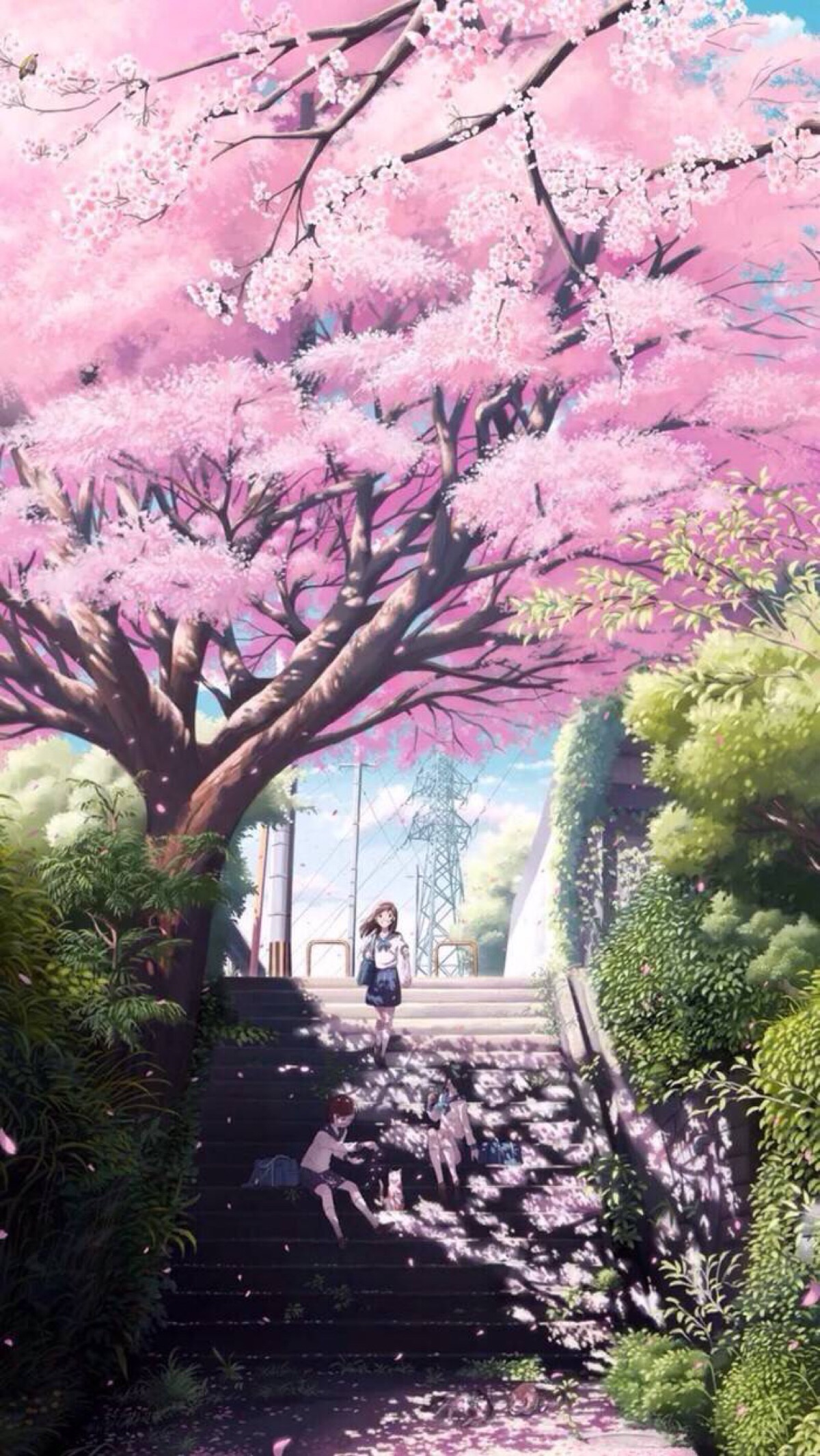 二次元世界华丽开启，樱花动漫手机引领精致潮流