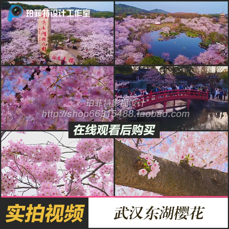 樱花校园模拟器英文版无广告下载_樱花模拟器校园英文版最新版_樱花校园模拟器英文版无广告下载