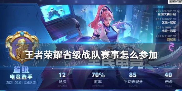 王者荣耀几级可以加战队_王者荣耀战队加级可以升级吗_王者荣耀战队加级可以加几个