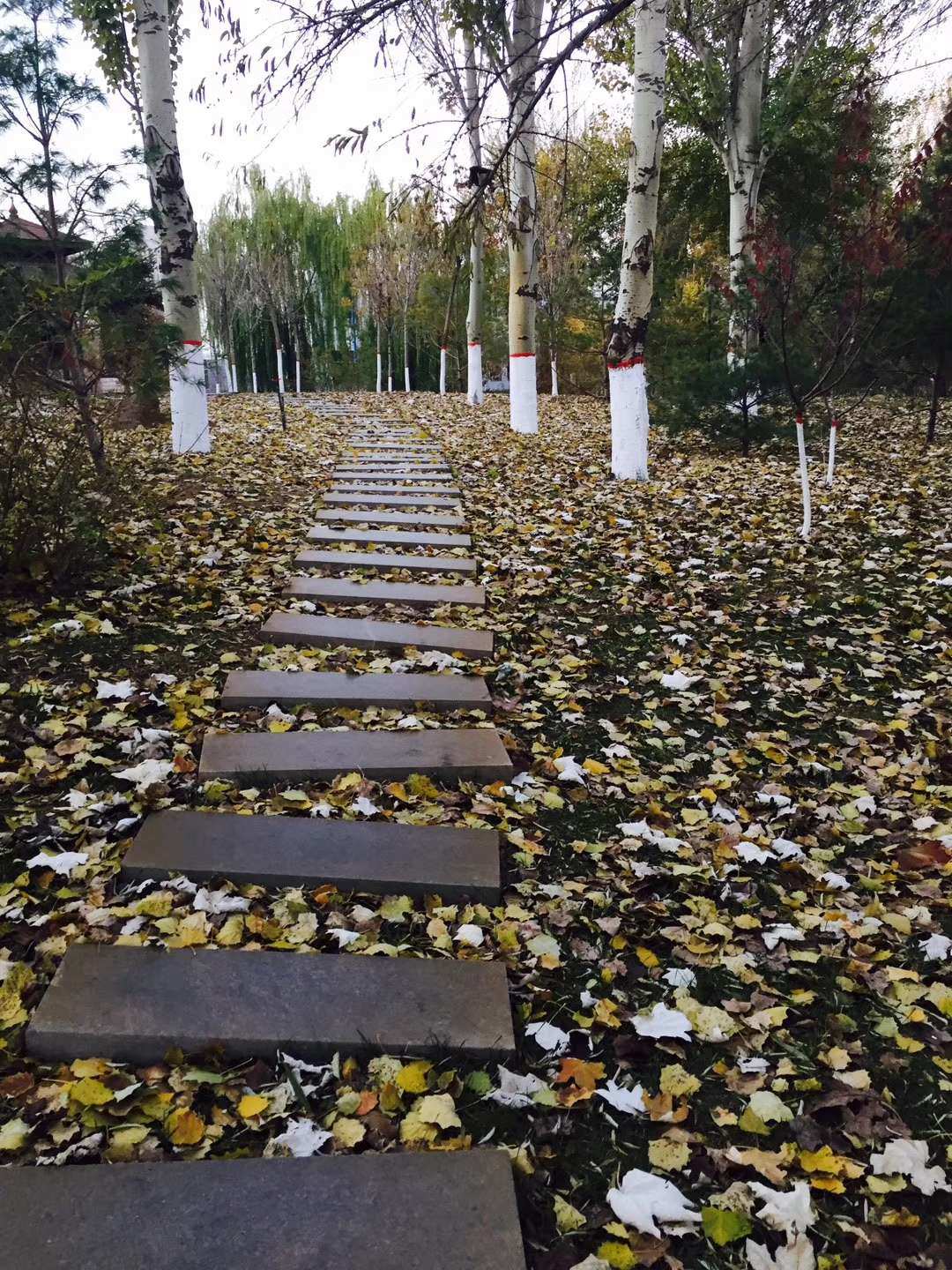 银风_银风暮钟在哪_剑网三马具银风