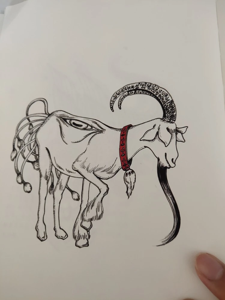 羊了个羊_羊衜_羊咩咩长什么羊