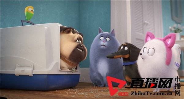 摧毁黛西_摧毁黛西事件描述_摧毁黛西有多恐怖