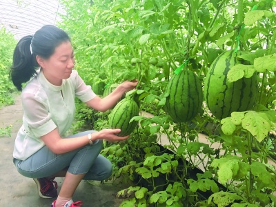 西瓜社区_西瓜社区_西瓜社区
