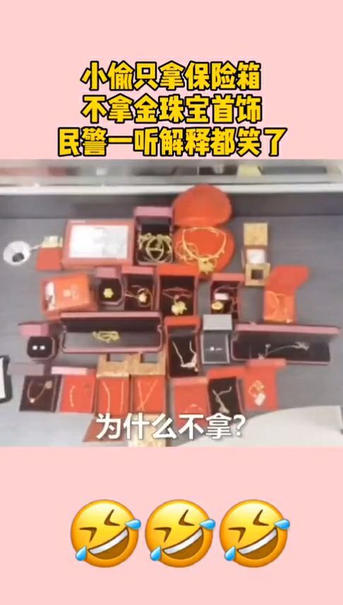 手机上的小偷模拟器游戏_小偷模拟器app_小偷模拟器游戏