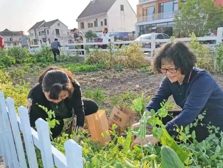 治愈田园风动漫_治愈田园手机游戏怎么玩_治愈田园手机游戏