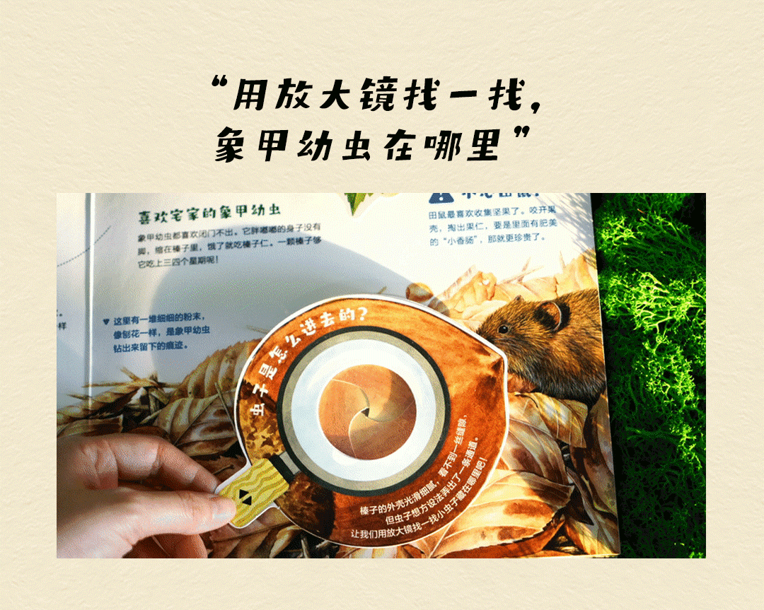 比特虫ico制作_比特虫有毒吗_比特虫有没有毒