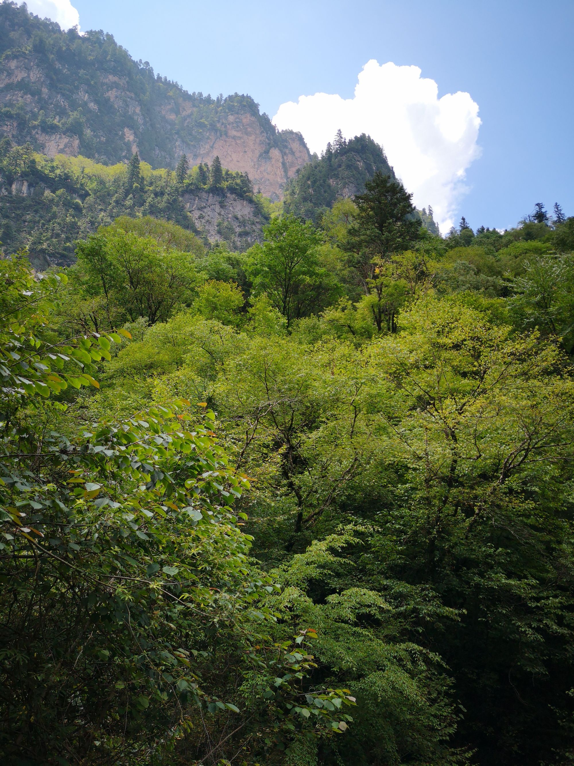 山县昌景_山县昌景多高_山县昌景大佐
