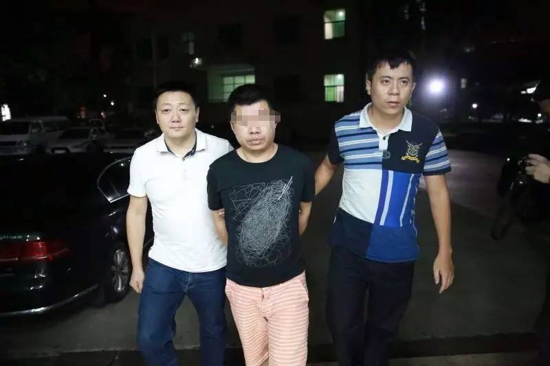 手机游戏躲藏_躲藏手机游戏有哪些_躲藏手机游戏推荐