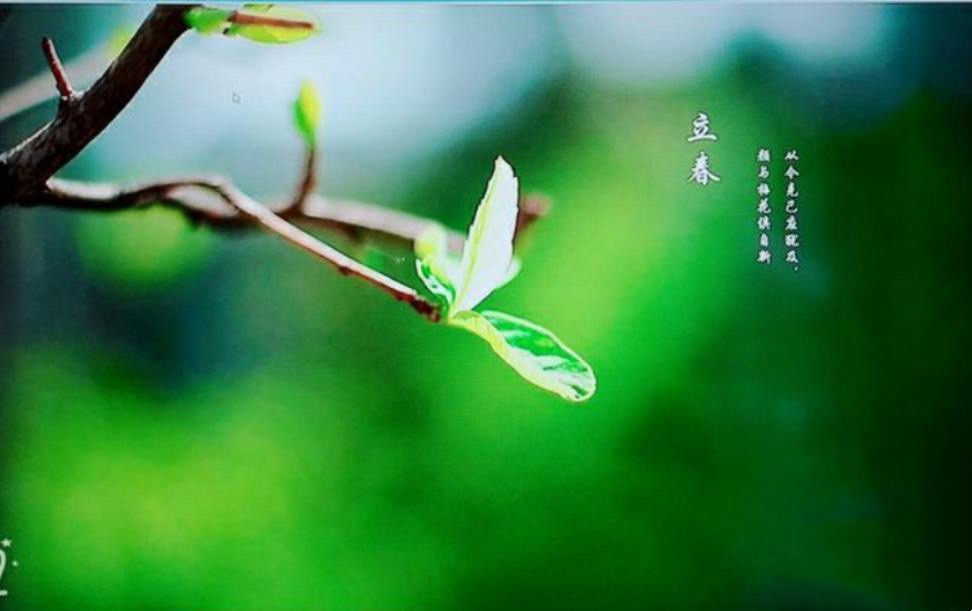 古诗立春偶成拼音版_立春古诗_古诗立春唐杜甫