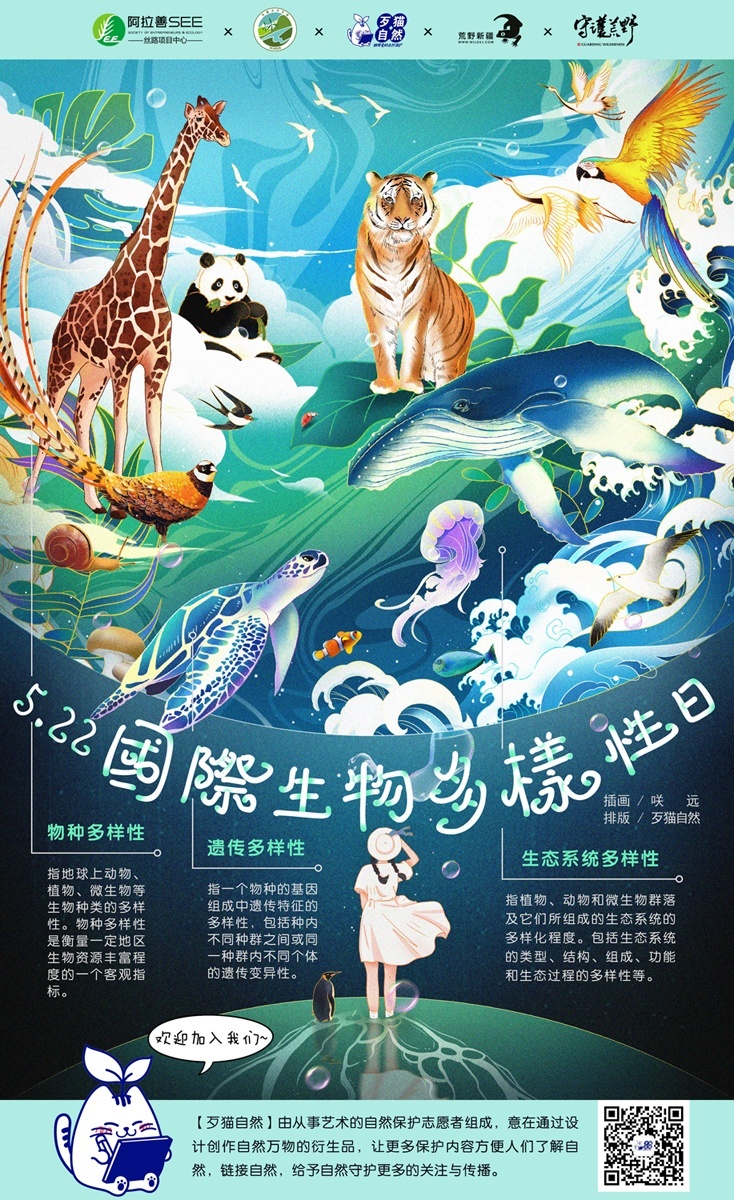 三咲恭子：文字里的创作灵感源泉