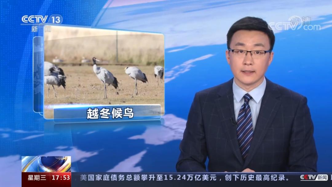 视达网_视达网app客户端下载_视达网官网app下载
