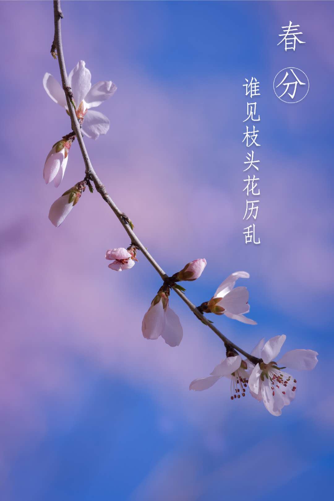 春分节气的特点简介-春分节气，五大特点让你提前感受春天的暖意