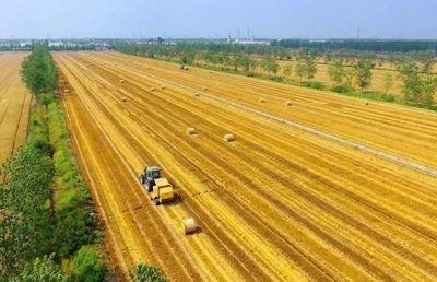 模拟种地手机游戏有哪些_模拟种地的游戏叫什么_种地游戏手机模拟