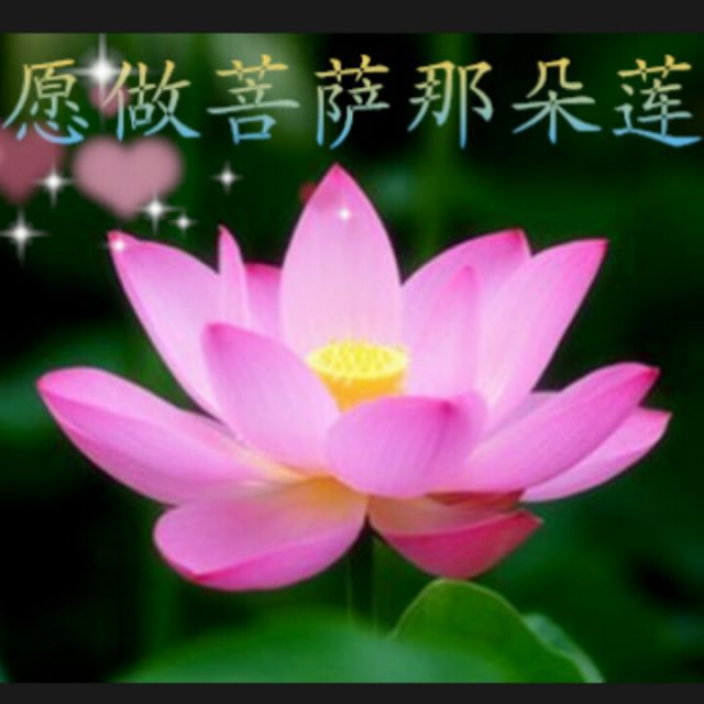 四月初八是哪位菩萨的生日-四月初八，寻找内心的宁静：我在寺庙