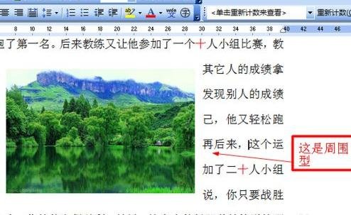 word哥-Word哥教你Word高效利用，排版技巧、插入功