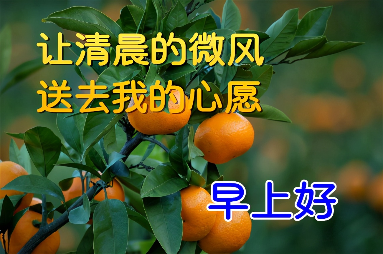 四月二十二日-阳光明媚，久别重逢，琴声感动：今日精彩生活分享