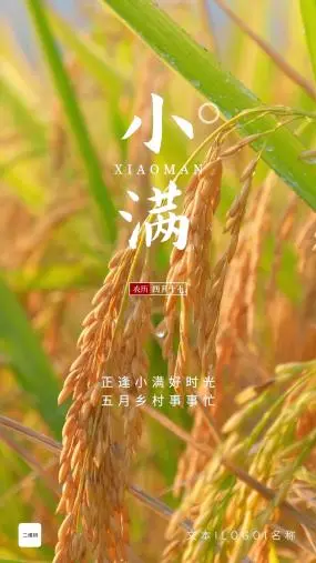 小满节气的含义是什么_节气小满的由来_24节气的小满的由来