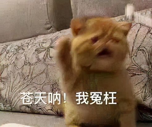 备份游戏文件什么意思_手机上传游戏备份失败_备份游戏有什么用