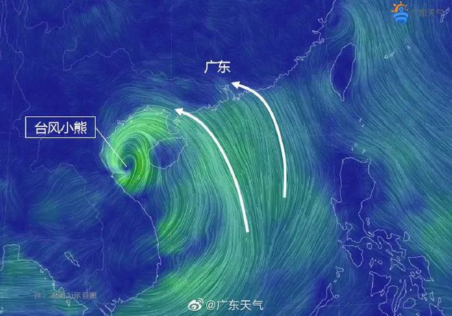 今天几月几号-风雨中的感恩：一位年轻人的坚持与温暖