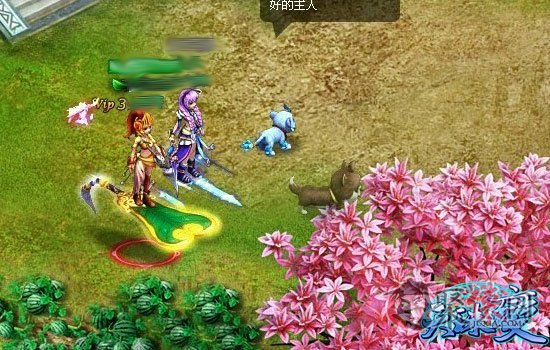 天珠游戏视频_手机游戏天珠_天珠手机游戏怎么玩