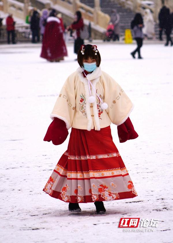 茸雪_雪茸菇图片_雪茸堂