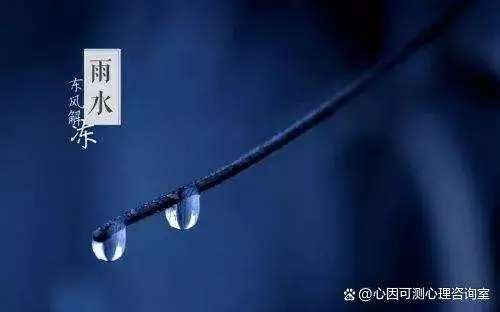 雨天梅花的诗文_雨天梅花的文案_梅雨天