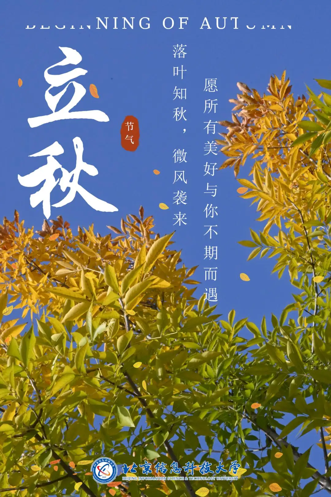 雨天梅花的诗文_雨天梅花的文案_梅雨天