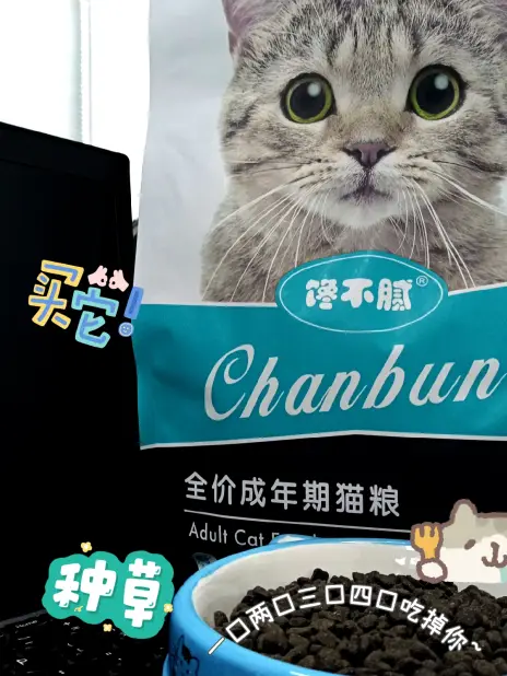 捡东西的手机游戏_手机上捡东西的游戏叫什么_捡东西的游戏叫什么