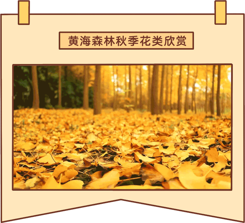 三月的别称及美名_三月别称和雅称_三月别称美名是什么
