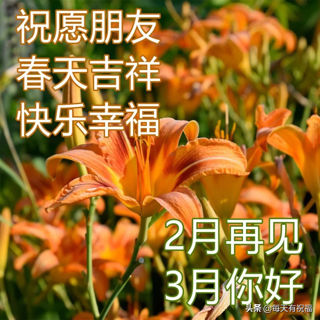 三月的别称及美名_三月别称和雅称_三月别称美名是什么