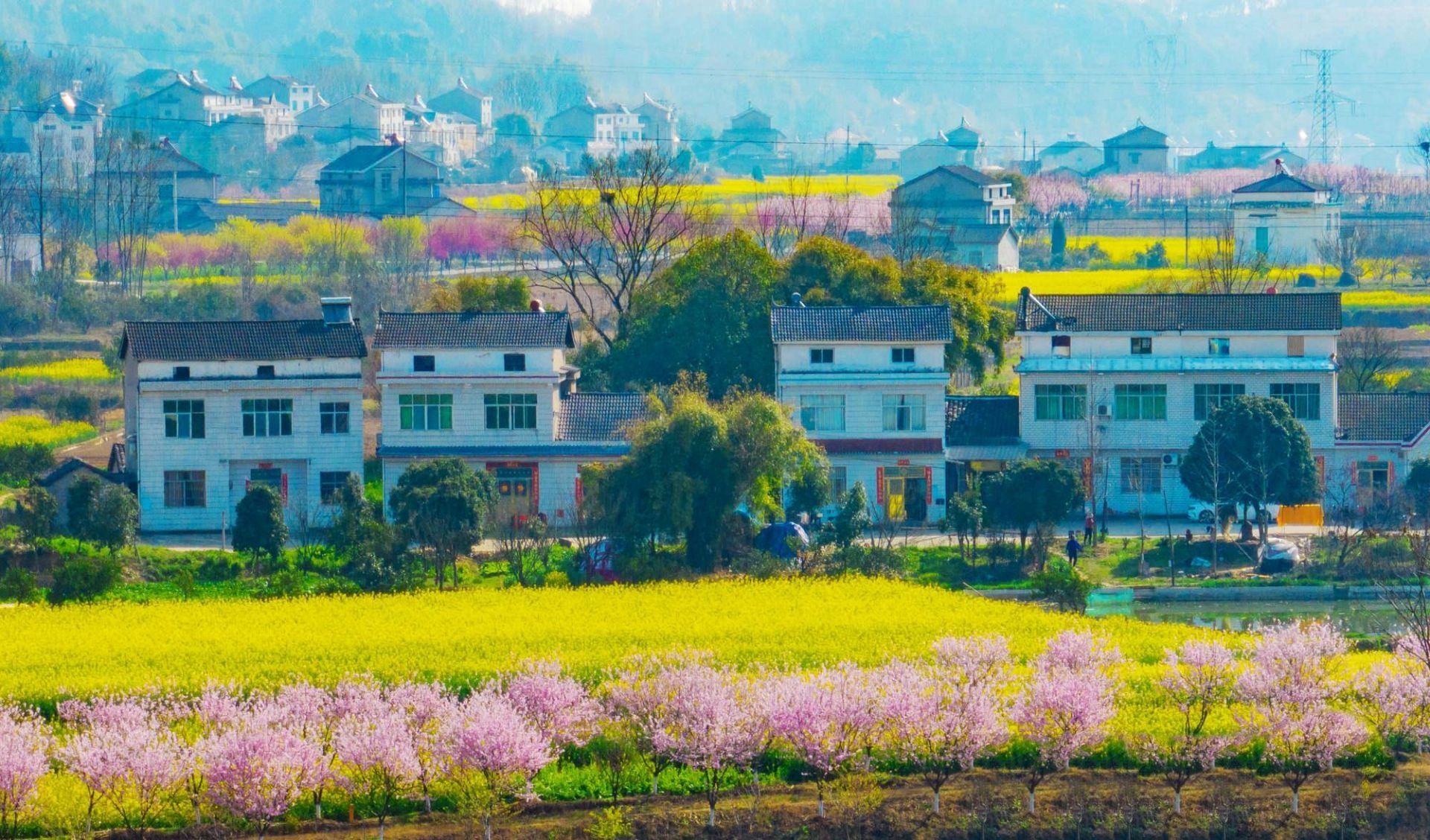 燕郊圈_燕郊圈_燕郊圈