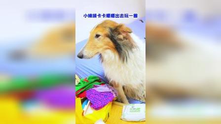 ios动物脸_手机游戏动物脸_动物捏脸游戏