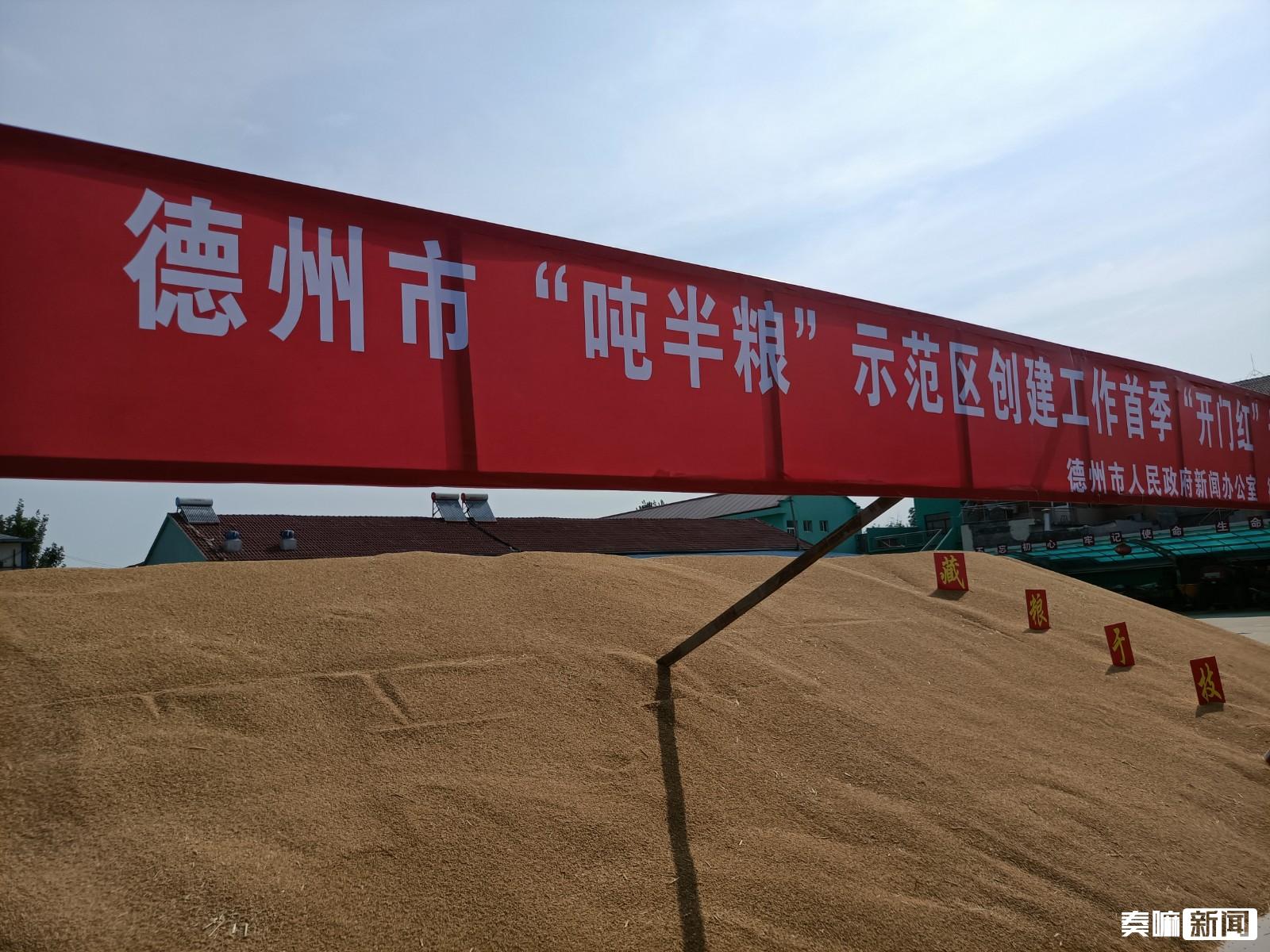 我的世界潜影贝农场-【爆款】潜影贝农场秘籍大揭秘！光源加速繁
