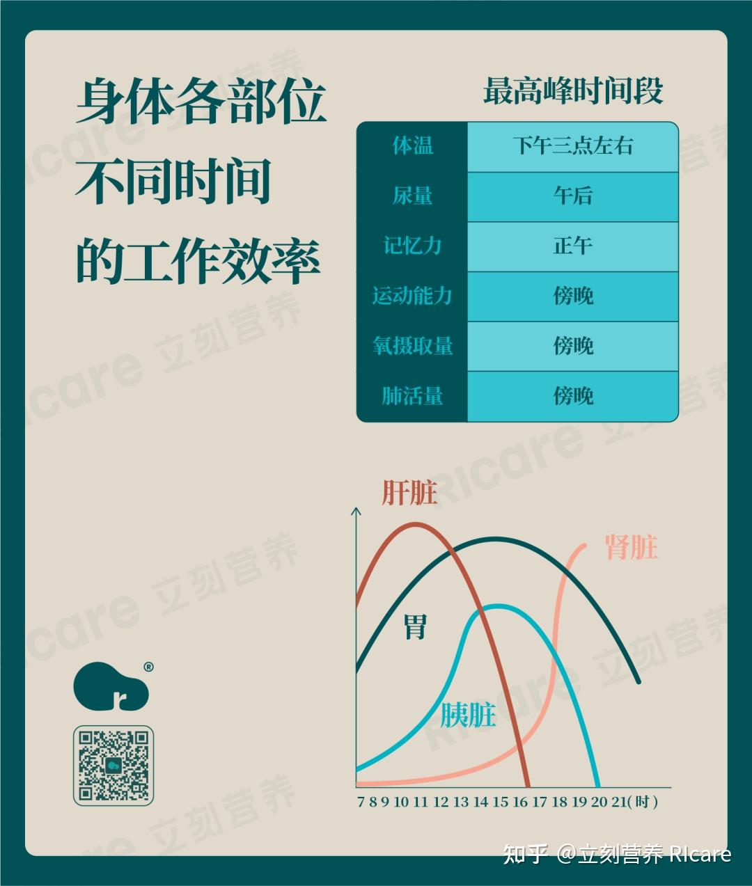 时间脱离者：揭示时间的神秘与奥秘的探索之旅