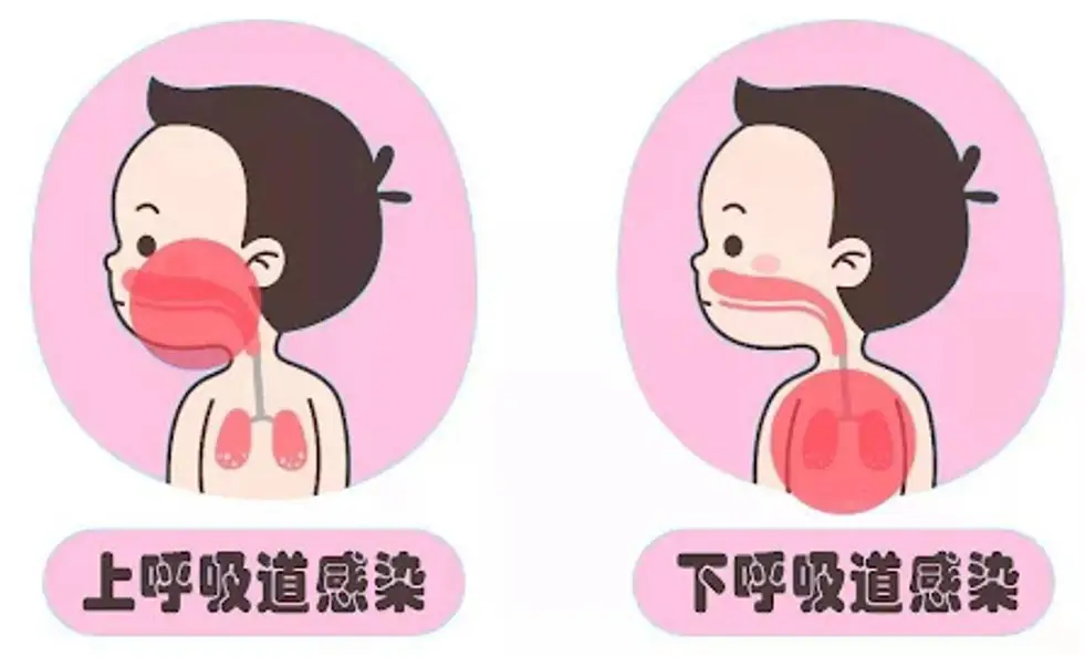 威胁数字世界：揭秘噬血代码的黑暗密码与网络安全挑战