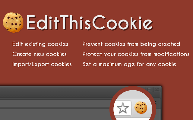 意思是什么_cookies是什么意思_意思是的英文
