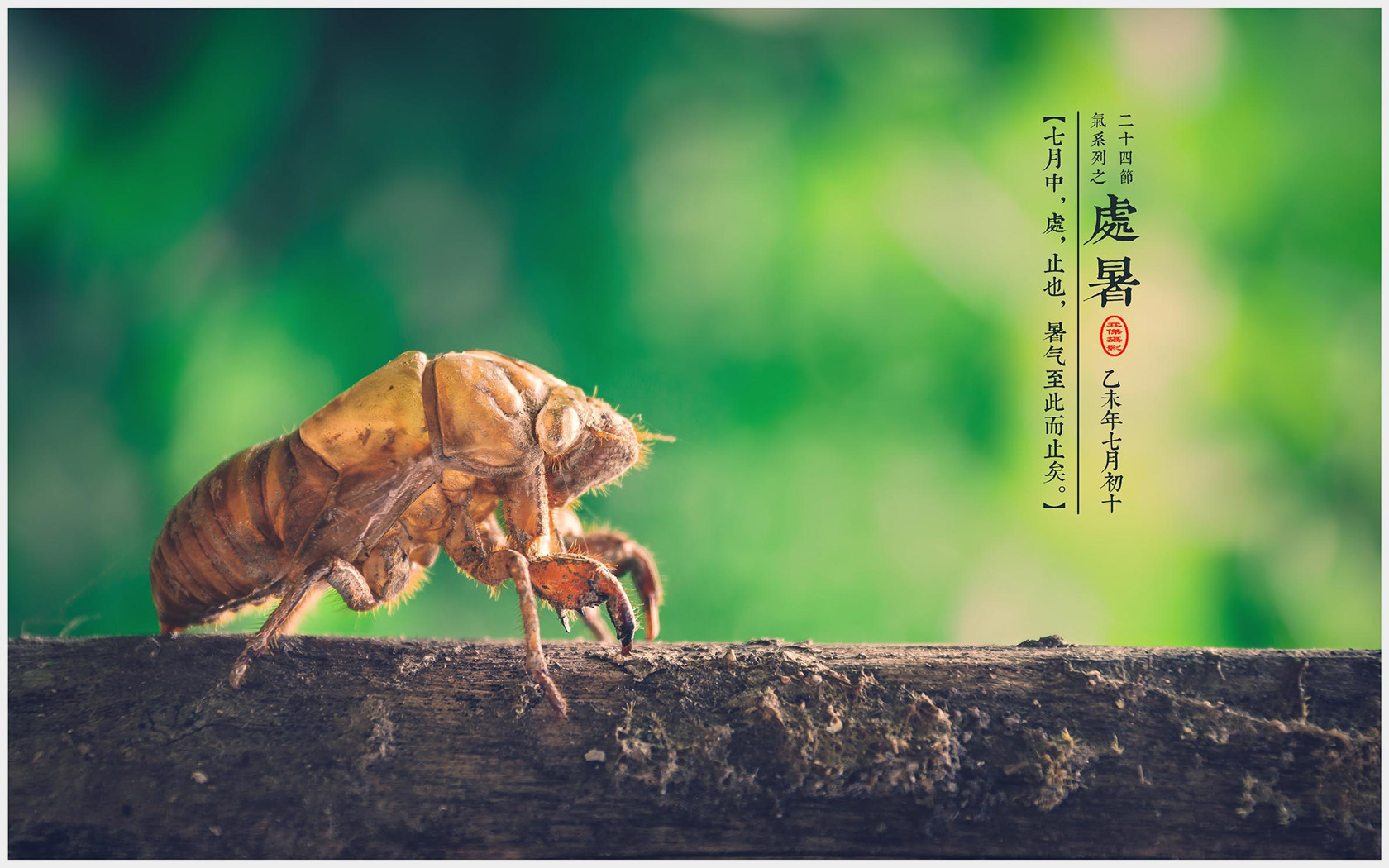处暑什意思_处暑所指的意思是_处暑是什么意思