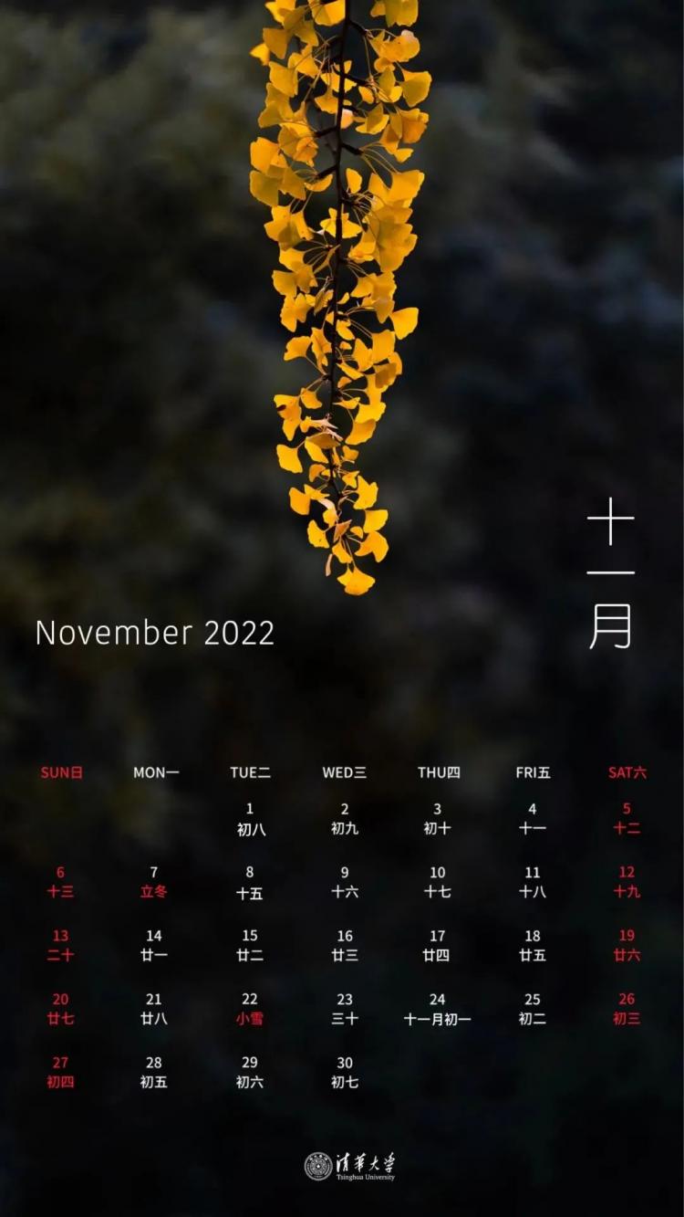 万年历老黄历查询表_老年日历表_老年黄历万年历