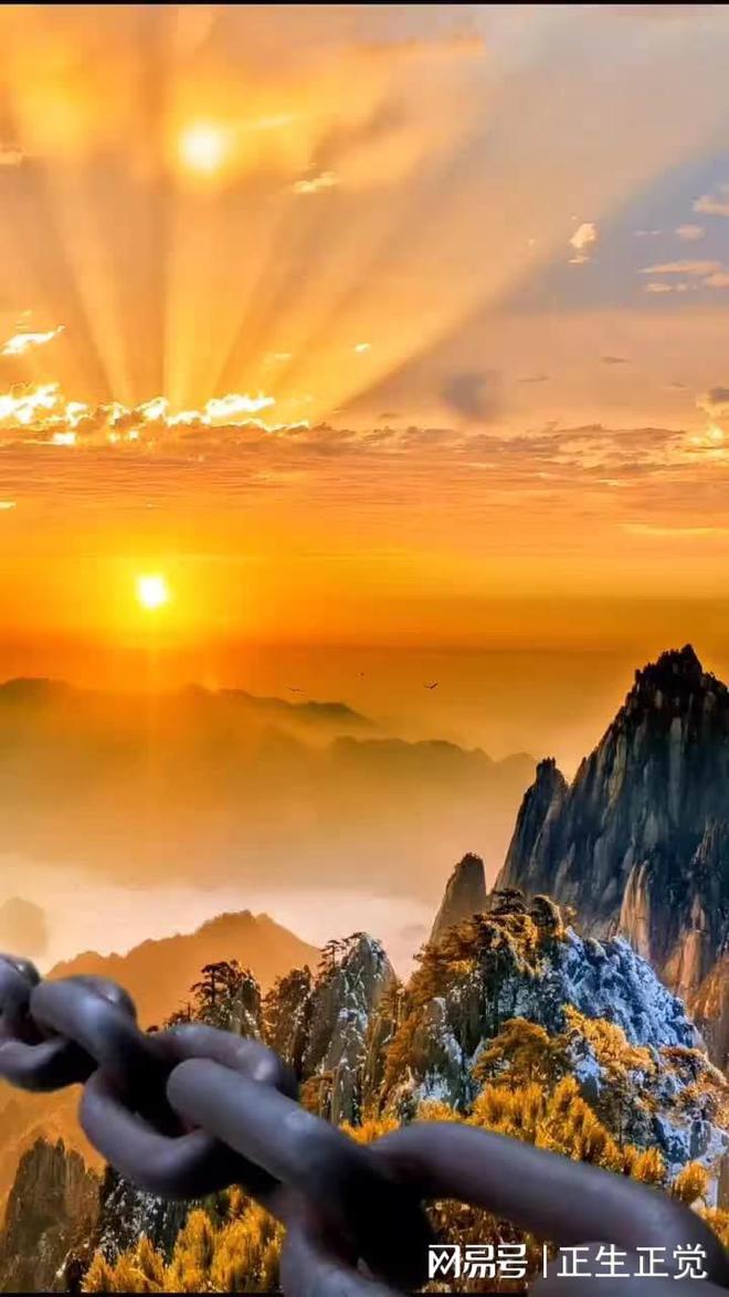 只狼游戏手机版怎么打开_狼的手机游戏_我想看狼游戏