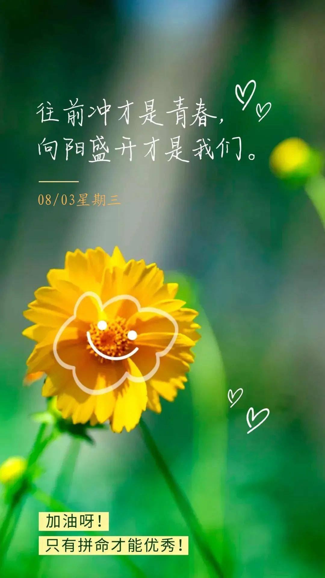 佳子：用热爱和憧憬书写独一无二的人生画卷