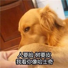 猥琐的表情包_猥琐的表情包_猥琐的表情包