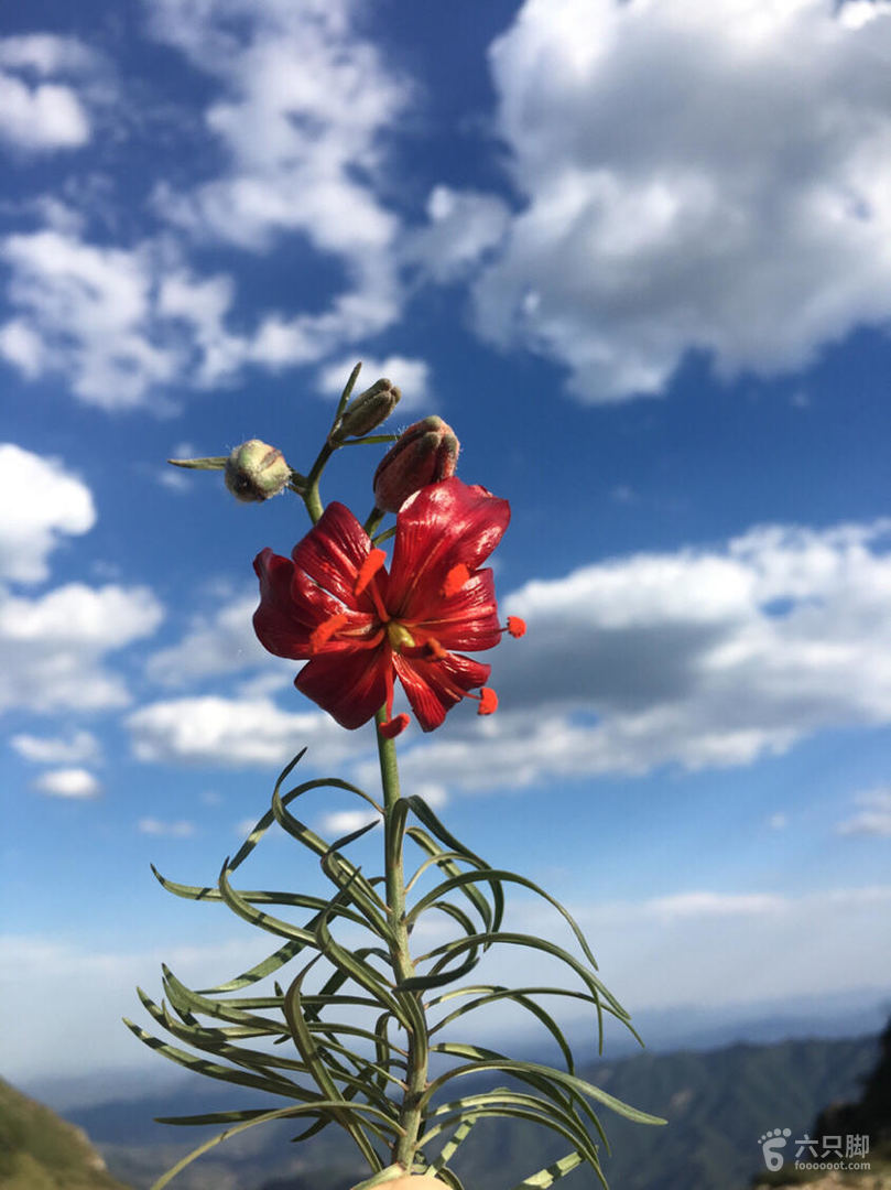露易丝威登官网_露易丝海_露易丝